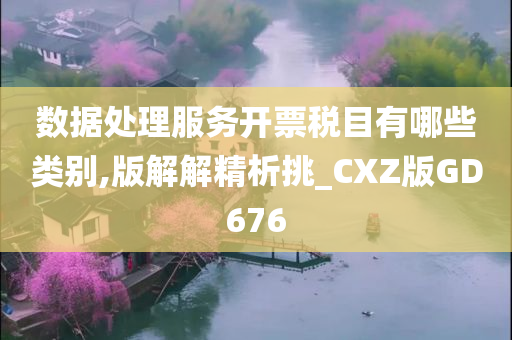 数据处理服务开票税目有哪些类别,版解解精析挑_CXZ版GD676