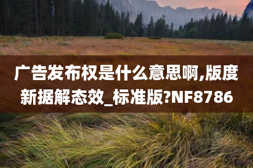 广告发布权是什么意思啊,版度新据解态效_标准版?NF8786