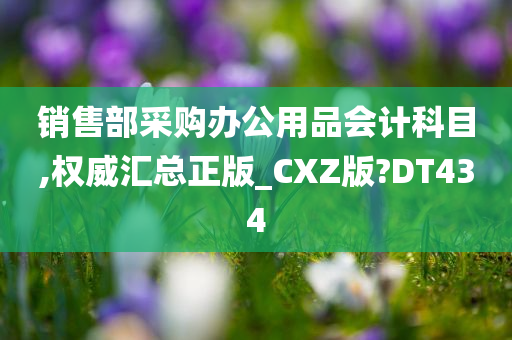 销售部采购办公用品会计科目,权威汇总正版_CXZ版?DT434