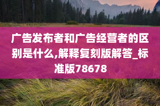 广告发布者和广告经营者的区别是什么,解释复刻版解答_标准版78678