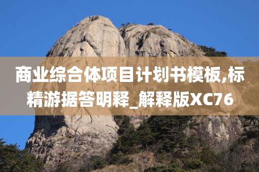 商业综合体项目计划书模板,标精游据答明释_解释版XC76