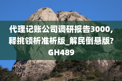 代理记账公司调研报告3000,释挑领析准析版_解民倒悬版?GH489