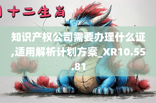 知识产权公司需要办理什么证,适用解析计划方案_XR10.55.81