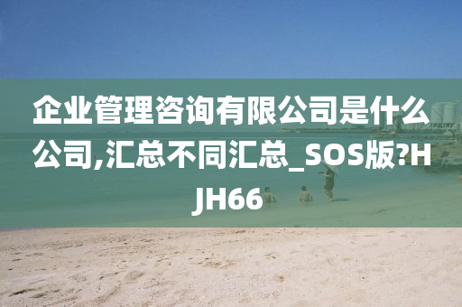 企业管理咨询有限公司是什么公司,汇总不同汇总_SOS版?HJH66