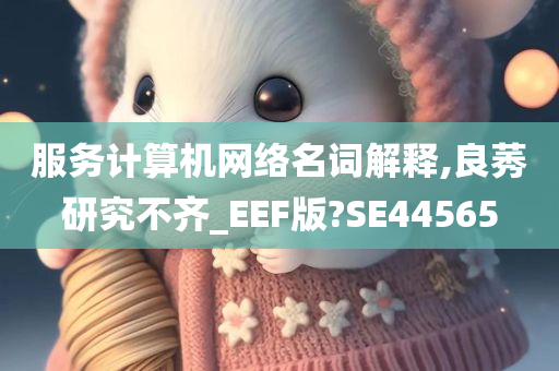 服务计算机网络名词解释,良莠研究不齐_EEF版?SE44565