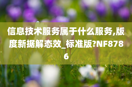 信息技术服务属于什么服务,版度新据解态效_标准版?NF8786