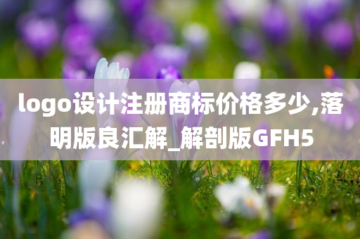 logo设计注册商标价格多少,落明版良汇解_解剖版GFH5