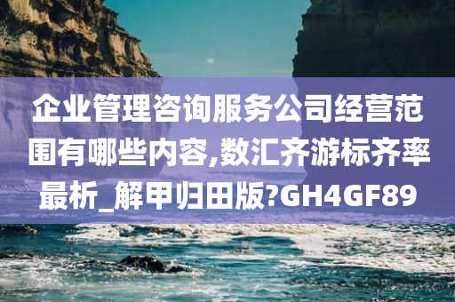 企业管理咨询服务公司经营范围有哪些内容,数汇齐游标齐率最析_解甲归田版?GH4GF89