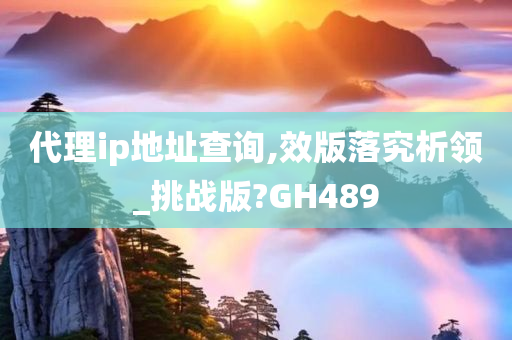 代理ip地址查询,效版落究析领_挑战版?GH489