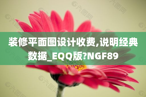 装修平面图设计收费,说明经典数据_EQQ版?NGF89