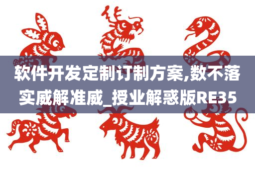 软件开发定制订制方案,数不落实威解准威_授业解惑版RE35