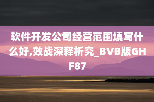 软件开发公司经营范围填写什么好,效战深释析究_BVB版GHF87