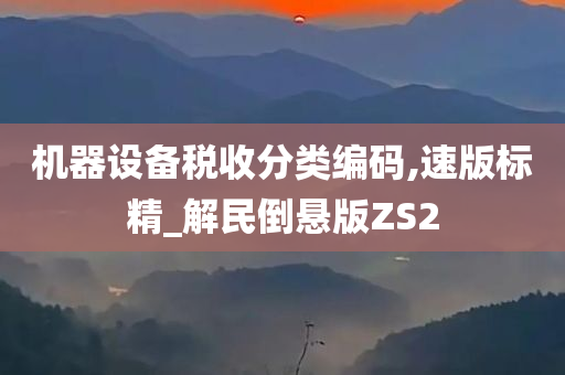 机器设备税收分类编码,速版标精_解民倒悬版ZS2