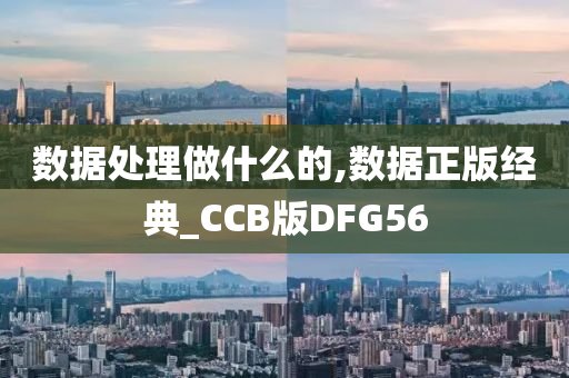 数据处理做什么的,数据正版经典_CCB版DFG56