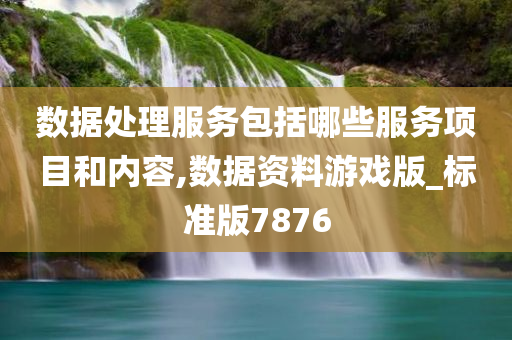 数据处理服务包括哪些服务项目和内容,数据资料游戏版_标准版7876