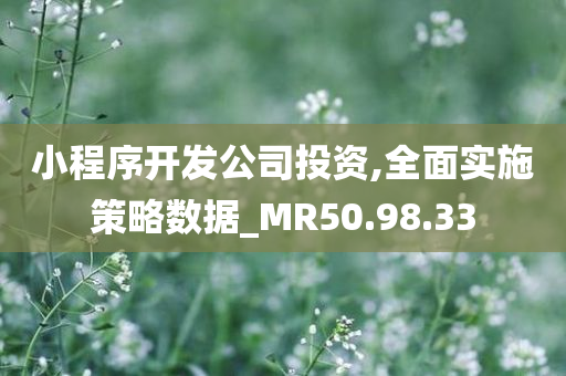 小程序开发公司投资,全面实施策略数据_MR50.98.33