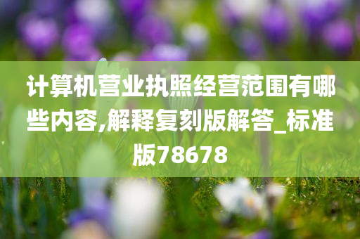 计算机营业执照经营范围有哪些内容,解释复刻版解答_标准版78678