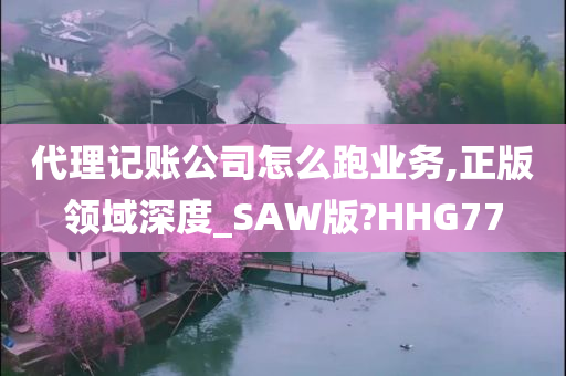 代理记账公司怎么跑业务,正版领域深度_SAW版?HHG77