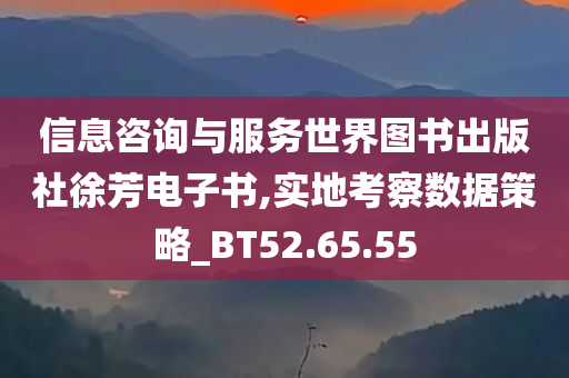 信息咨询与服务世界图书出版社徐芳电子书,实地考察数据策略_BT52.65.55