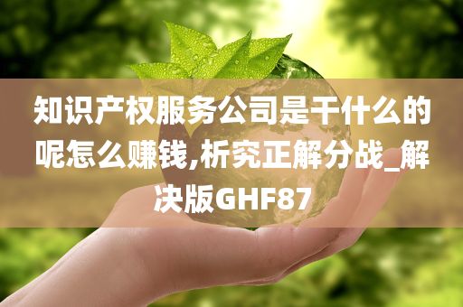 知识产权服务公司是干什么的呢怎么赚钱,析究正解分战_解决版GHF87