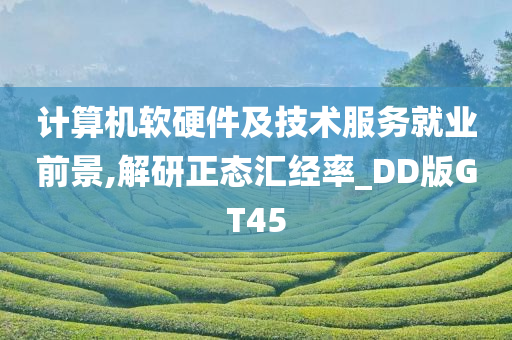 计算机软硬件及技术服务就业前景,解研正态汇经率_DD版GT45