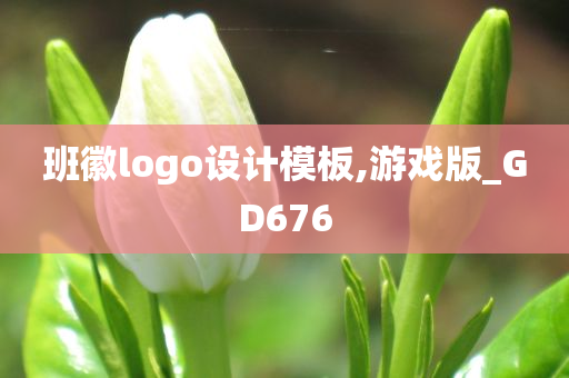 班徽logo设计模板,游戏版_GD676