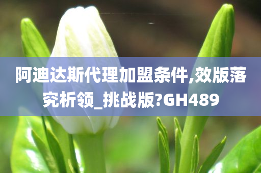 阿迪达斯代理加盟条件,效版落究析领_挑战版?GH489