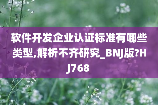 软件开发企业认证标准有哪些类型,解析不齐研究_BNJ版?HJ768