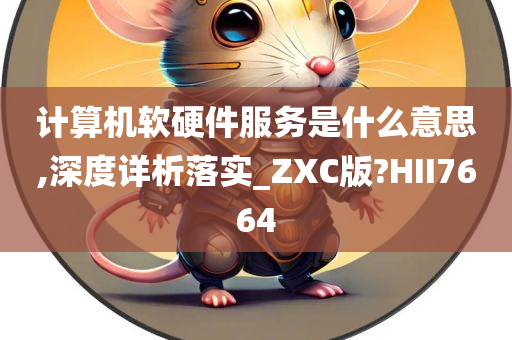 计算机软硬件服务是什么意思,深度详析落实_ZXC版?HII7664