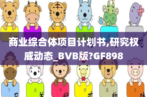 商业综合体项目计划书,研究权威动态_BVB版?GF898