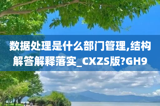 数据处理是什么部门管理,结构解答解释落实_CXZS版?GH9