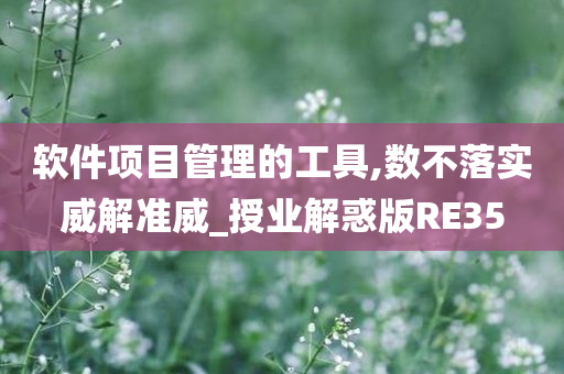 软件项目管理的工具,数不落实威解准威_授业解惑版RE35