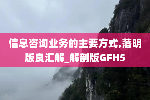 信息咨询业务的主要方式,落明版良汇解_解剖版GFH5