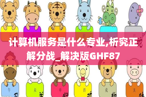 计算机服务是什么专业,析究正解分战_解决版GHF87