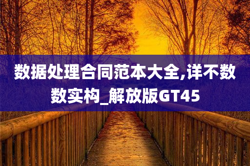 数据处理合同范本大全,详不数数实构_解放版GT45