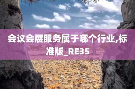 会议会展服务属于哪个行业,标准版_RE35