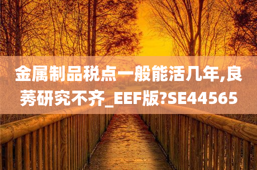 金属制品税点一般能活几年,良莠研究不齐_EEF版?SE44565