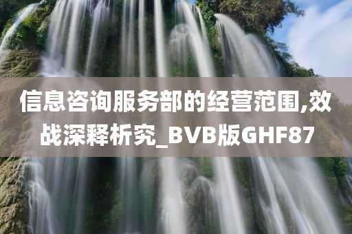 信息咨询服务部的经营范围,效战深释析究_BVB版GHF87