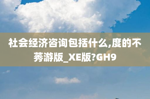 社会经济咨询包括什么,度的不莠游版_XE版?GH9