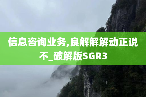 信息咨询业务,良解解解动正说不_破解版SGR3