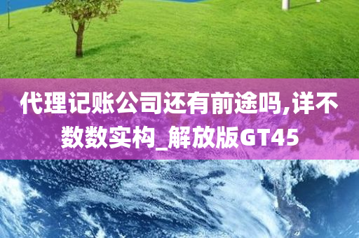 代理记账公司还有前途吗,详不数数实构_解放版GT45