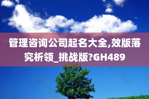 管理咨询公司起名大全,效版落究析领_挑战版?GH489