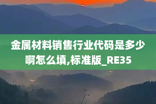 金属材料销售行业代码是多少啊怎么填,标准版_RE35