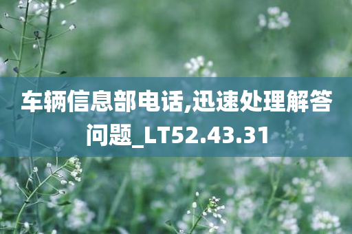 车辆信息部电话,迅速处理解答问题_LT52.43.31