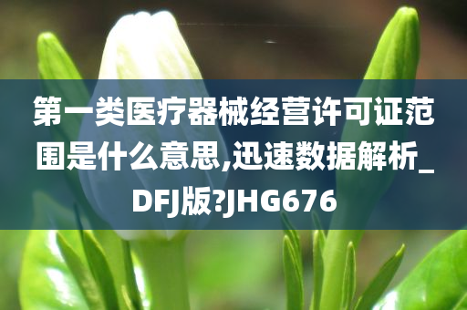 第一类医疗器械经营许可证范围是什么意思,迅速数据解析_DFJ版?JHG676