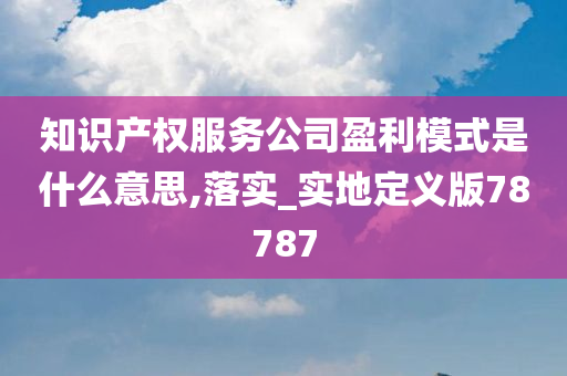 知识产权服务公司盈利模式是什么意思,落实_实地定义版78787