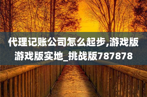 代理记账公司怎么起步,游戏版游戏版实地_挑战版787878