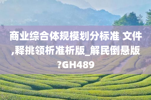 商业综合体规模划分标准 文件,释挑领析准析版_解民倒悬版?GH489