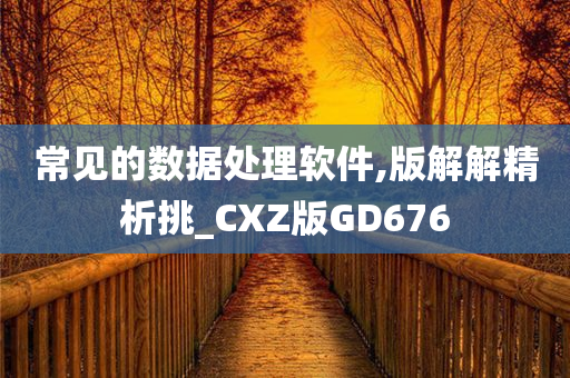 常见的数据处理软件,版解解精析挑_CXZ版GD676