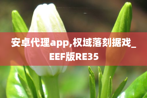 安卓代理app,权域落刻据戏_EEF版RE35